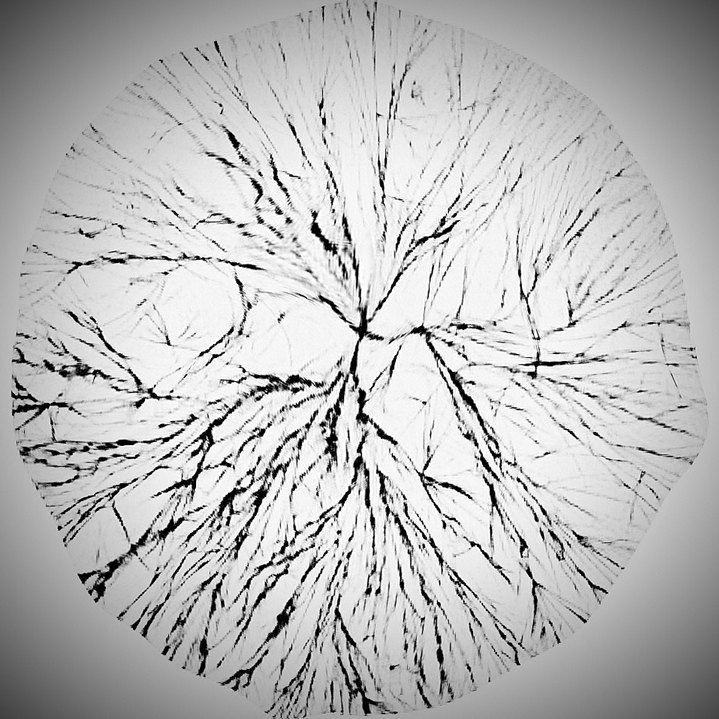 Structured water molecule